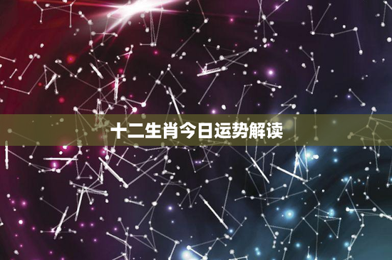 十二生肖今日运势解读：运势揭秘！工作、感情、财运应对指南