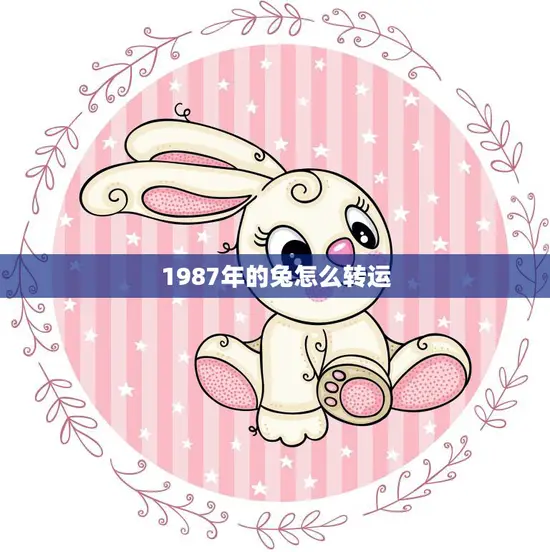 1987年的兔怎么转运(如何在新的一年里获得好运)