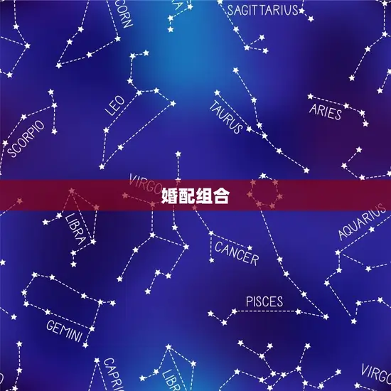 婚配组合 婚配组合