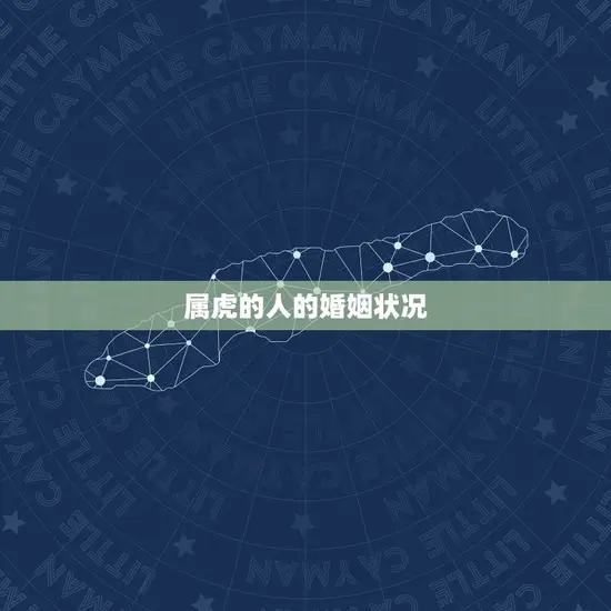 属虎的人的婚姻状况