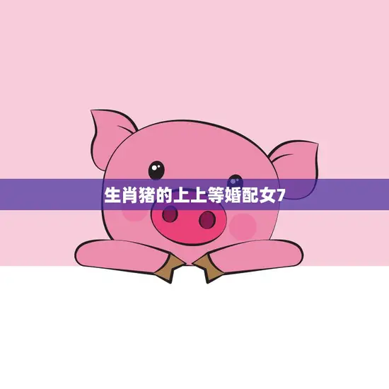 生肖猪的上上等婚配女7(完美匹配的爱情奇迹)