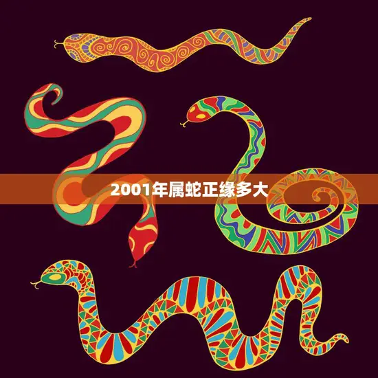 2001年属蛇正缘多大(蛇年桃花运如何)