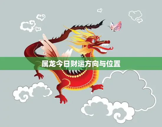 属龙今日财运方向与位置(如何提升财运)