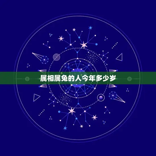 属相属兔的人今年多少岁