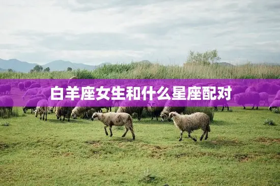 白羊座女生和什么星座配对(最佳星座组合大揭秘)