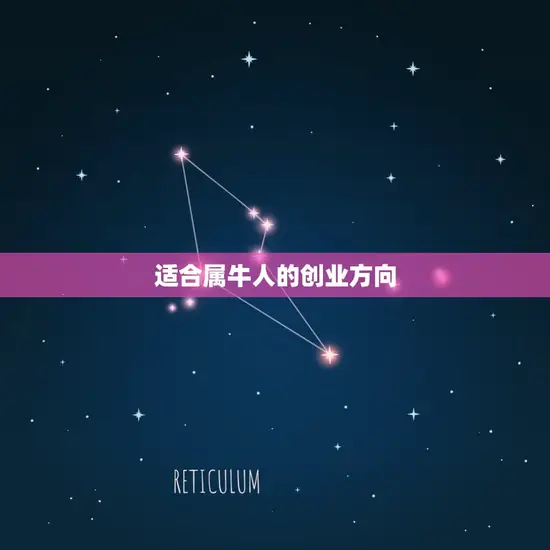 适合属牛人的创业方向