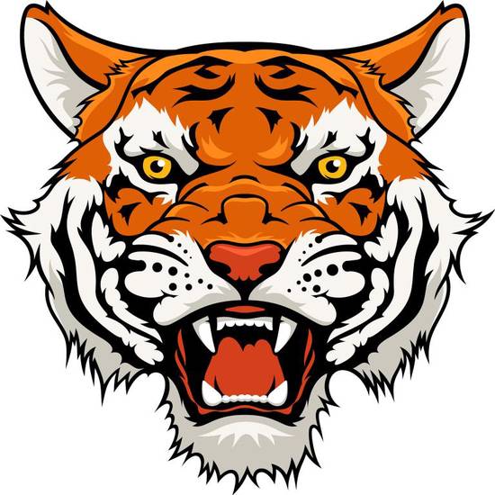 属虎人未来十年运势预测(猛虎崛起财运亨通) 属虎人未来十年运势预测(猛虎崛起财运亨通)