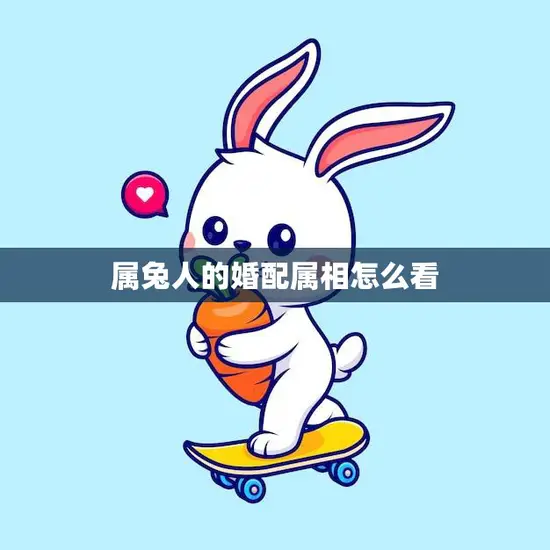 属兔人的婚配属相怎么看(如何选择最佳婚配)