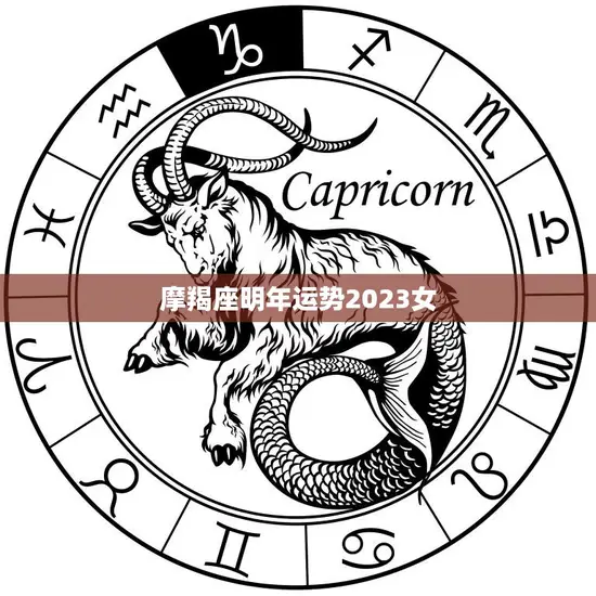 摩羯座明年运势2023女(事业财运双丰收)