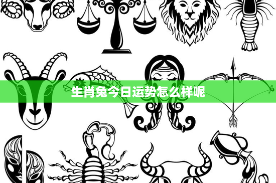 生肖兔今日运势怎么样呢：如何处理团队合作关系成事业关键？