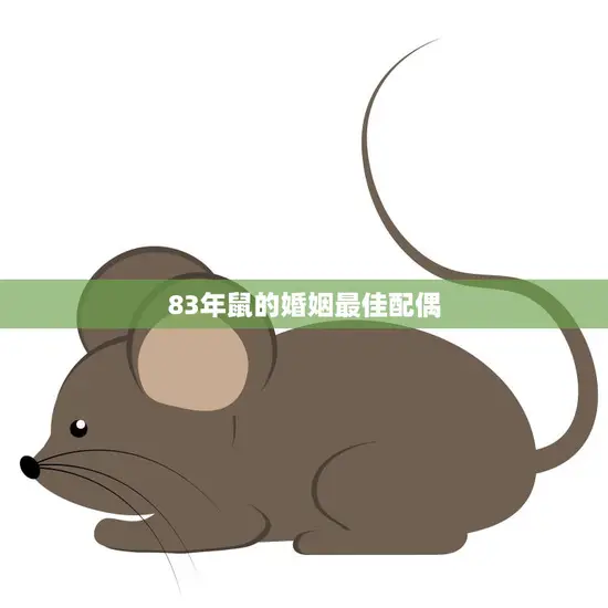 83年鼠的婚姻最佳配偶(如何选择)