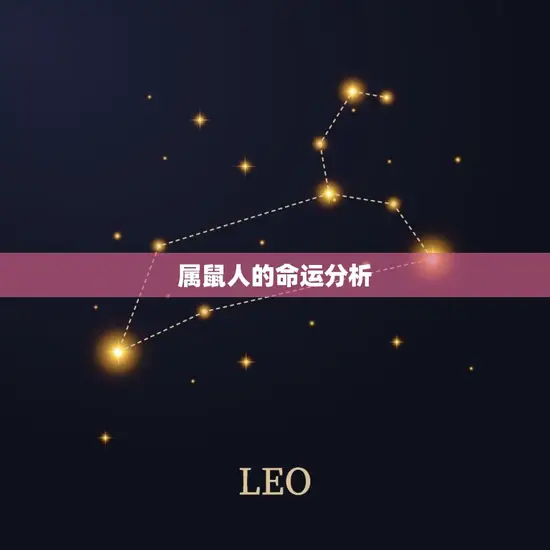 属鼠人的命运分析