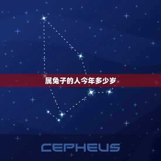 属兔子的人今年多少岁