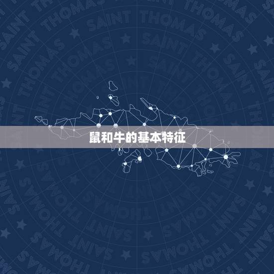 鼠和牛的基本特征