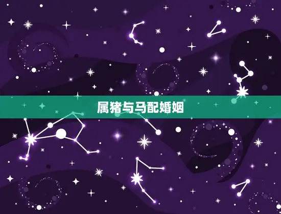 属猪与马配婚姻