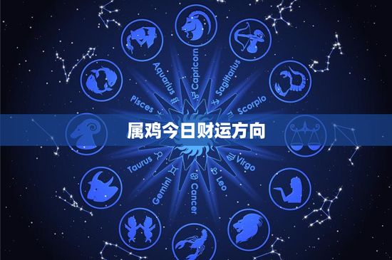 属鸡今日财运方向：今日独家财富秘籍曝光，抓住机遇迎接意外之财