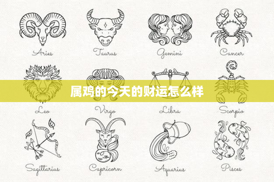 属鸡的今天的财运怎么样：今日财源起伏，如何规避风险？