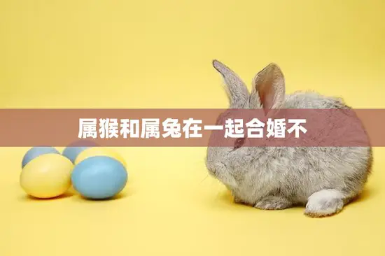 属猴和属兔在一起合婚不(如何看待属相不合的婚姻)