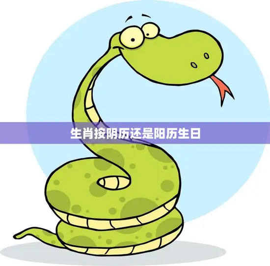 生肖按阴历还是阳历生日(如何确定你的真正生肖)