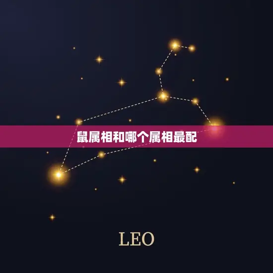 鼠属相和哪个属相最配