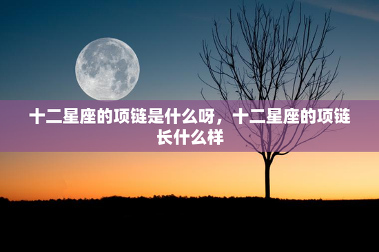 十二星座的项链是什么呀，十二星座的项链长什么样