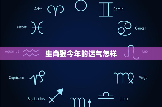 生肖猴今年的运气怎样：职场挑战与爱情机遇齐登场