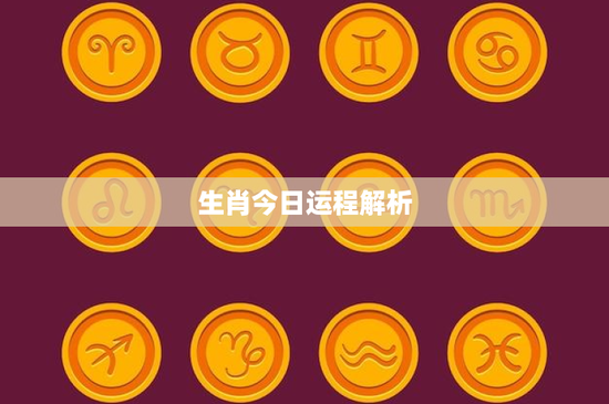 生肖今日运程解析：鼠智慧抉择，牛意外挑战，虎勇气机遇