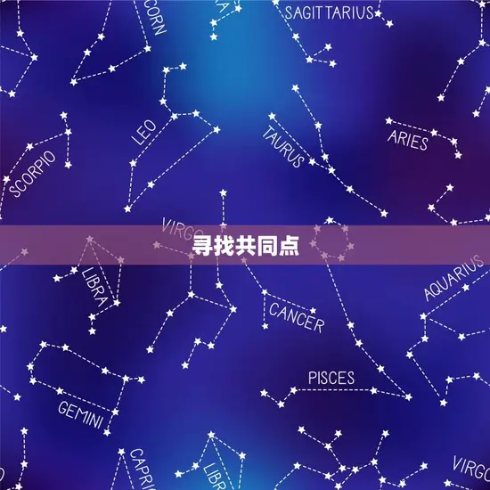寻找共同点