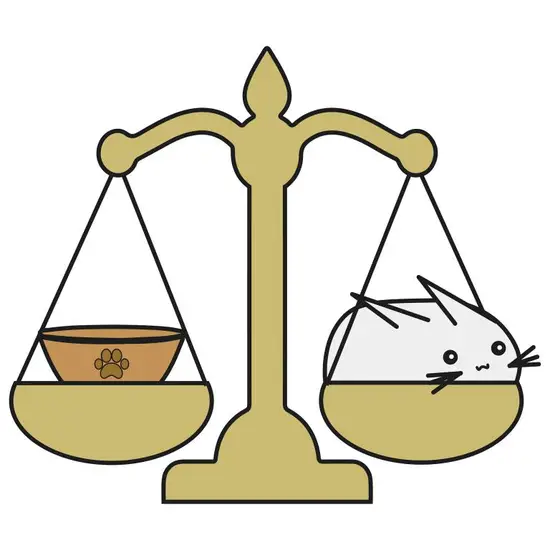 天秤座男生和射手座女生(星座配对爱情的平衡与冒险)