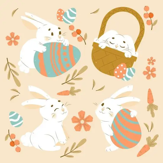 1987属兔人一生命运(如何开启幸福人生)