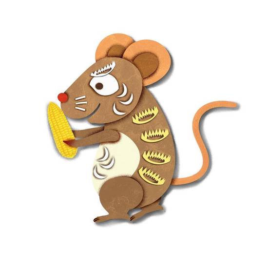 96年属鼠女正缘是哪方(寻找真爱的路上谁是她的缘份)