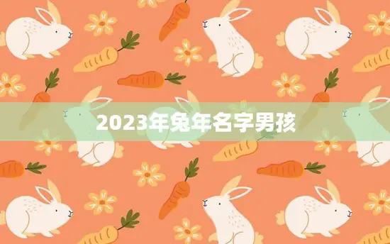 2023年兔年名字男孩(如何选择最佳的兔年宝宝名字)