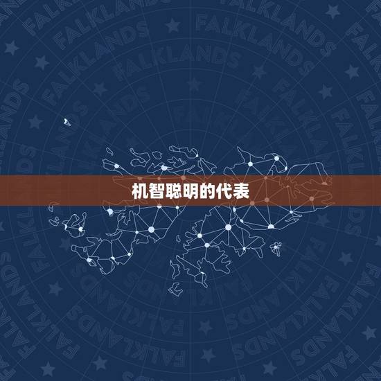 机智聪明的代表