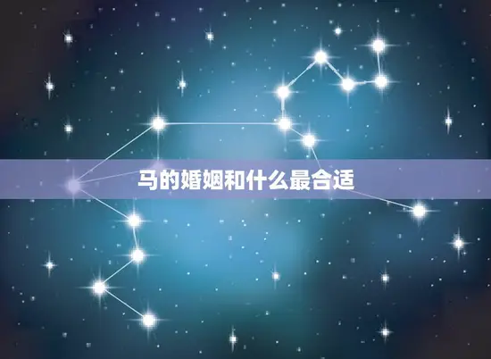 马的婚姻和什么最合适