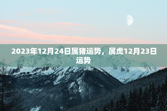 2023年12月24日属猪运势,属虎12月23日运势 2023年12月24日属猪运势,属虎12月23日运势