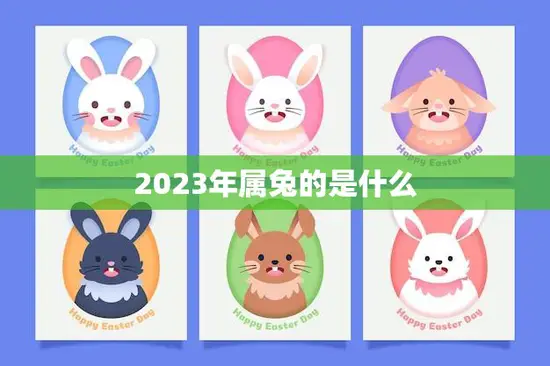 2023年属兔的是什么(2023年属兔的人性格特点及运势解析) 2023年属兔的是什么(2023年属兔的人性格特点及运势解析)