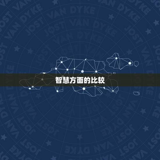 智慧方面的比较