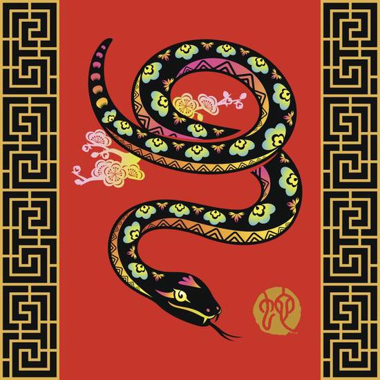 属狗男和属蛇女的相配吗(解析命理学上的真相)