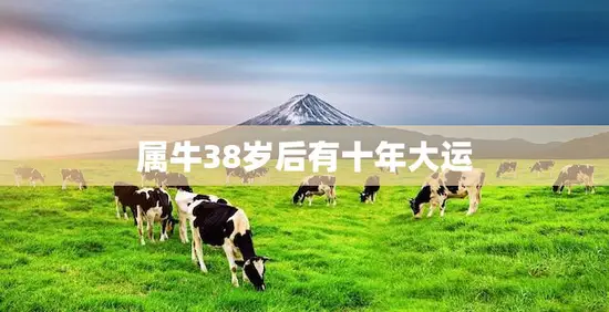 属牛38岁后有十年大运(如何抓住幸运机会)