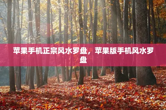 苹果手机正宗风水罗盘，苹果版手机风水罗盘