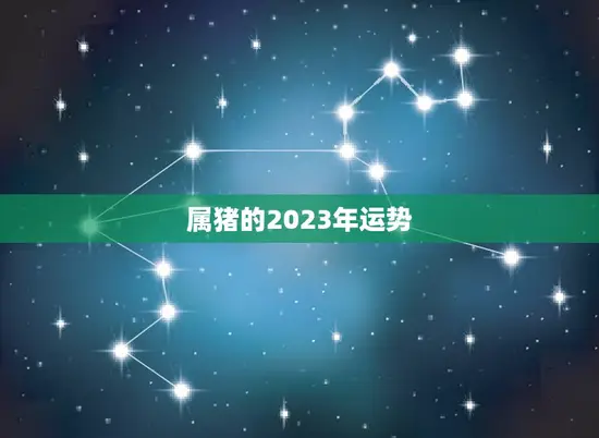 属猪的2023年运势