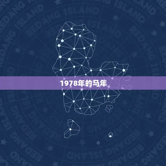 1978年的马年