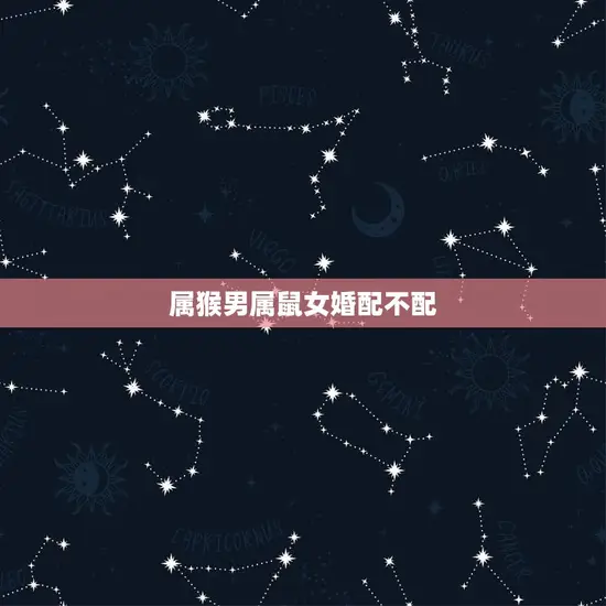属猴男属鼠女婚配不配