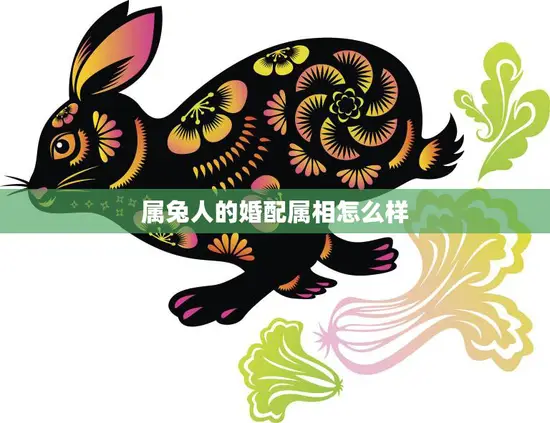 属兔人的婚配属相怎么样(如何选择最佳婚配属相)
