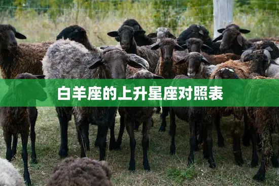 白羊座的上升星座对照表(如何选择最佳星座)
