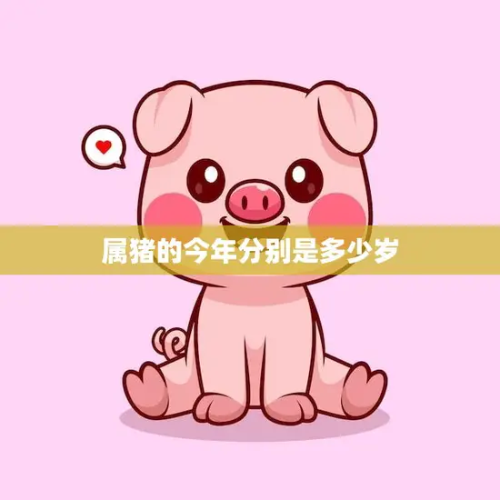 属猪的今年分别是多少岁(2023年属猪人的年龄计算方法)