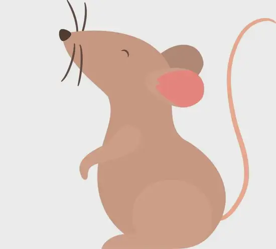 属鼠狮子座职场突围TIP