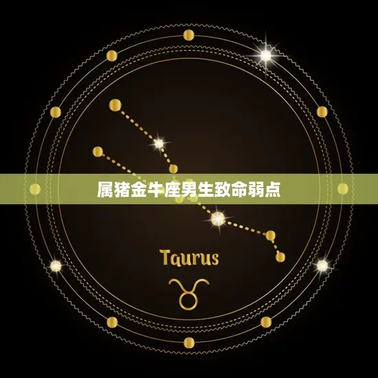 属猪金牛座男生致命弱点