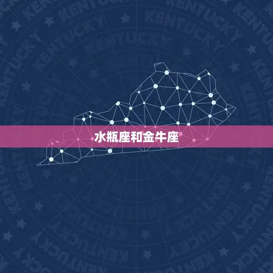 水瓶座和金牛座