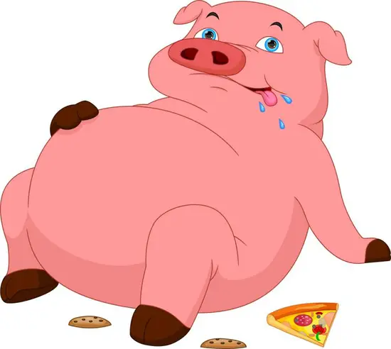 71年属猪生肖一生运势(幸福顺遂财运亨通)